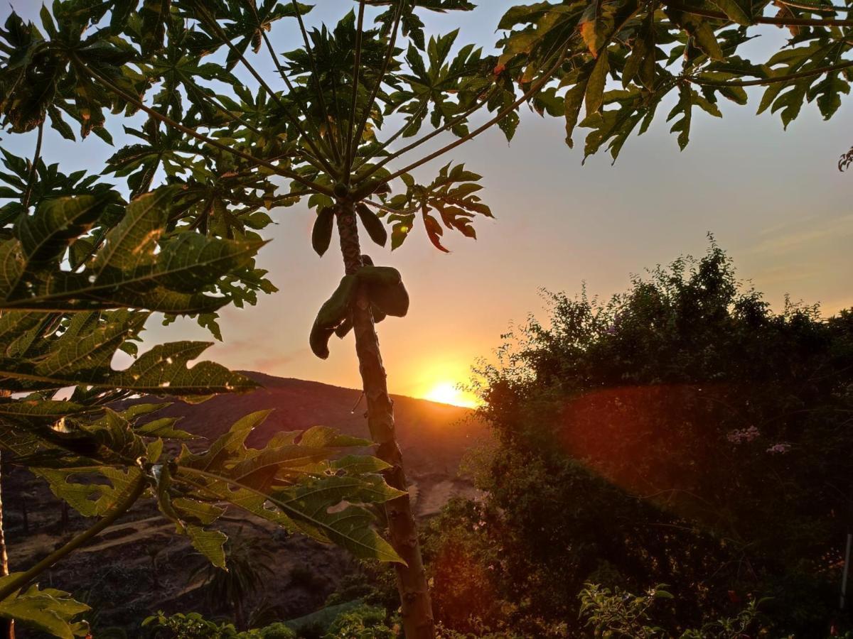 Casa Rural La Vega Alojera Dış mekan fotoğraf