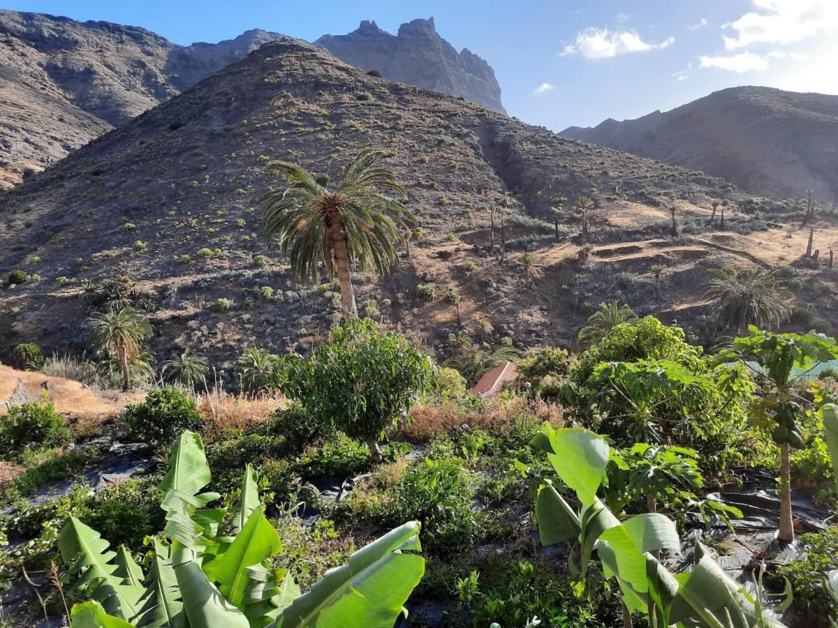 Casa Rural La Vega Alojera Dış mekan fotoğraf