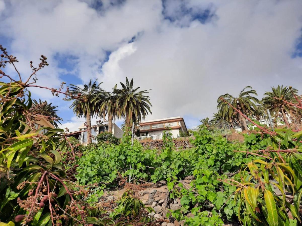 Casa Rural La Vega Alojera Dış mekan fotoğraf