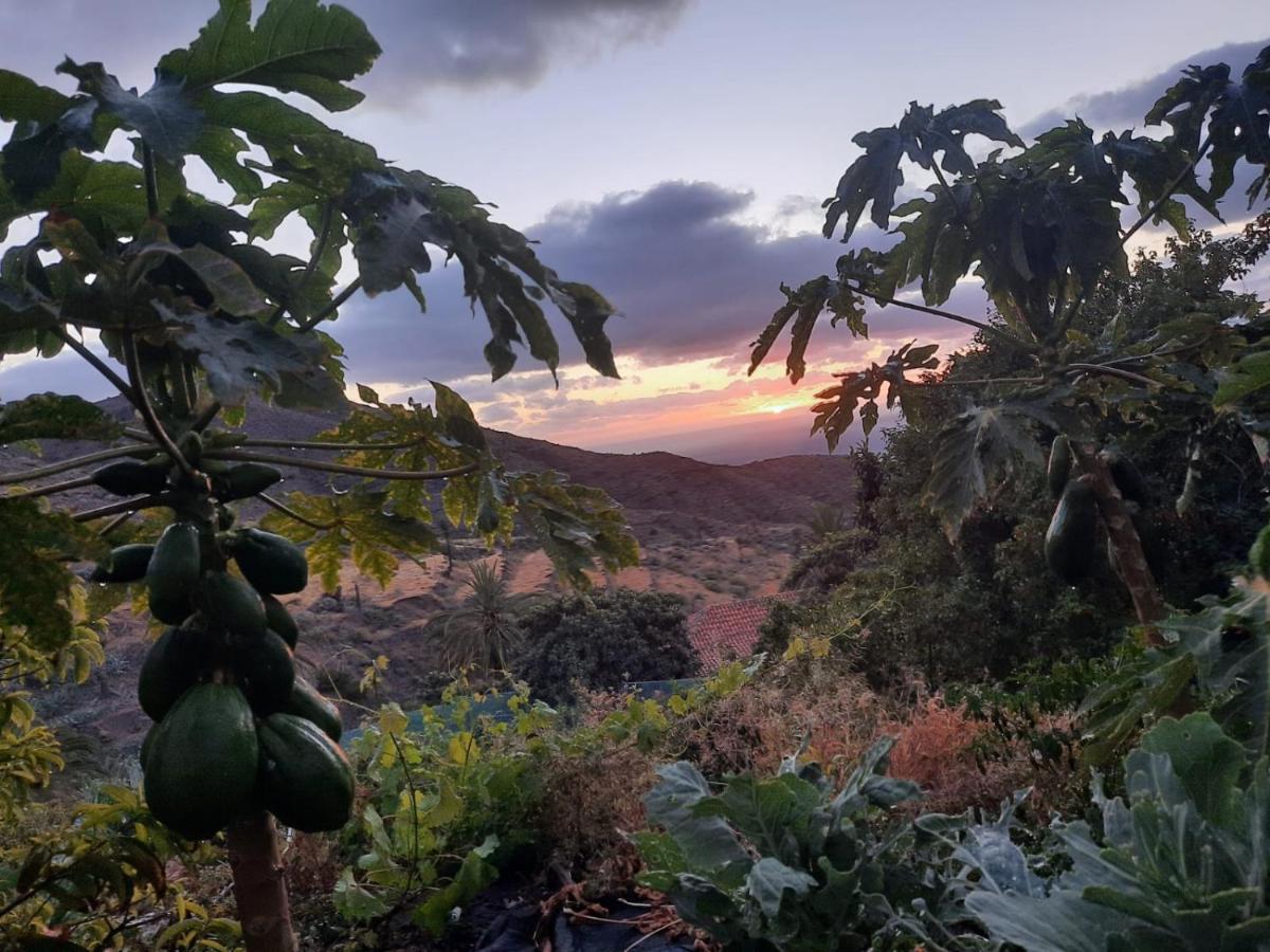 Casa Rural La Vega Alojera Dış mekan fotoğraf