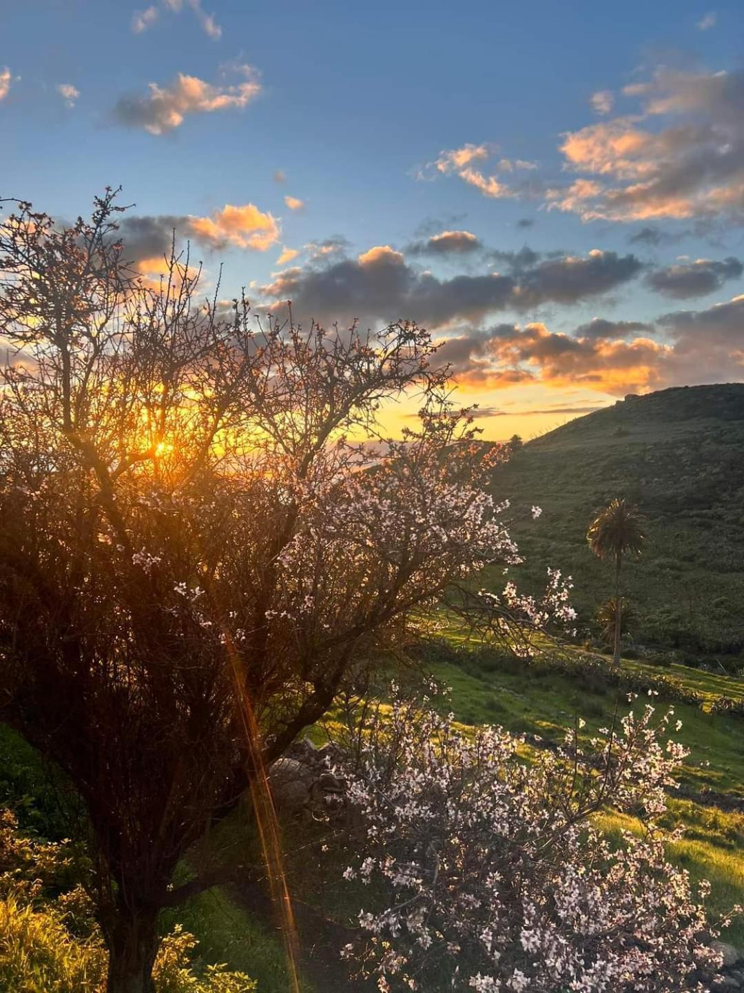 Casa Rural La Vega Alojera Dış mekan fotoğraf